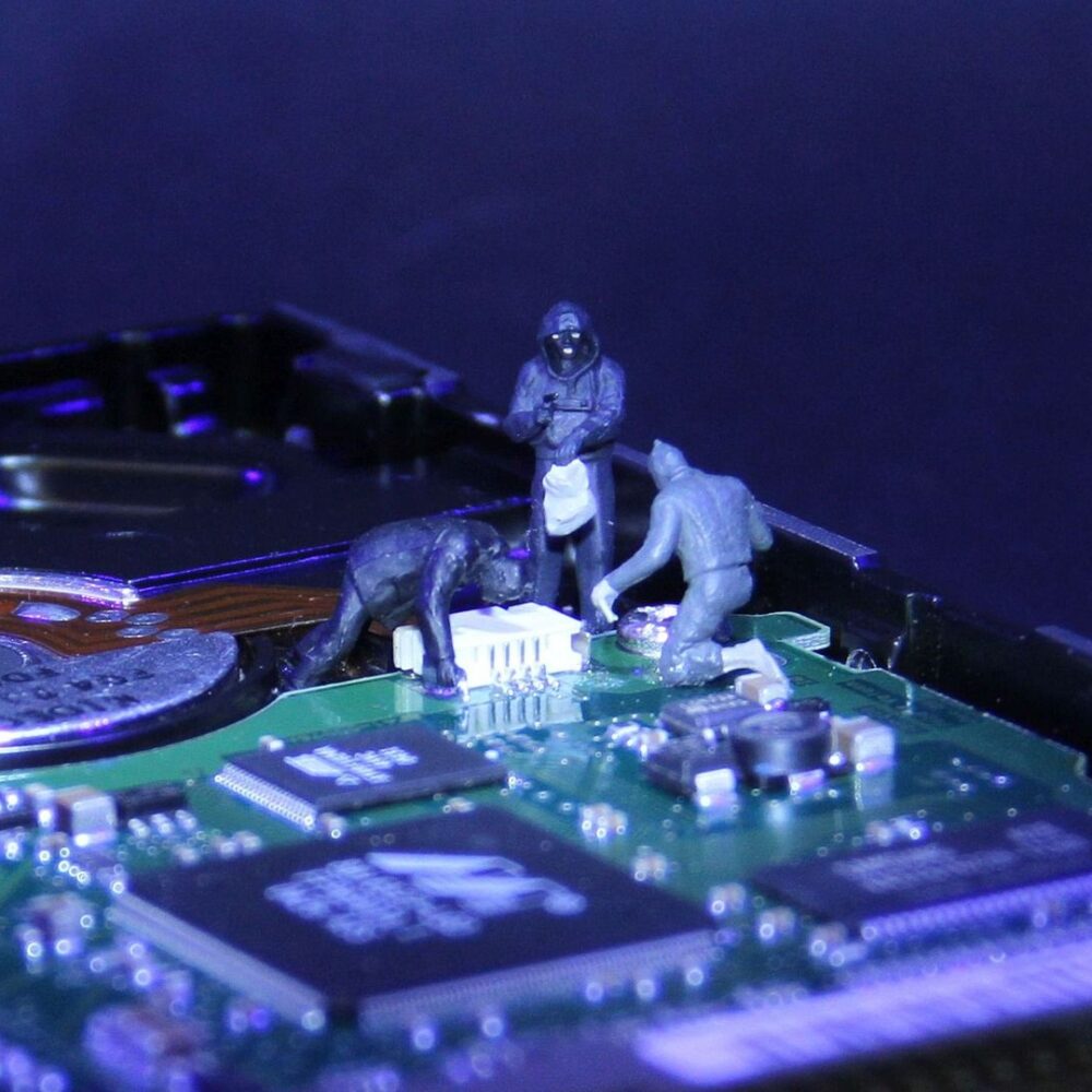 4391712.jpg 4391712.jpg